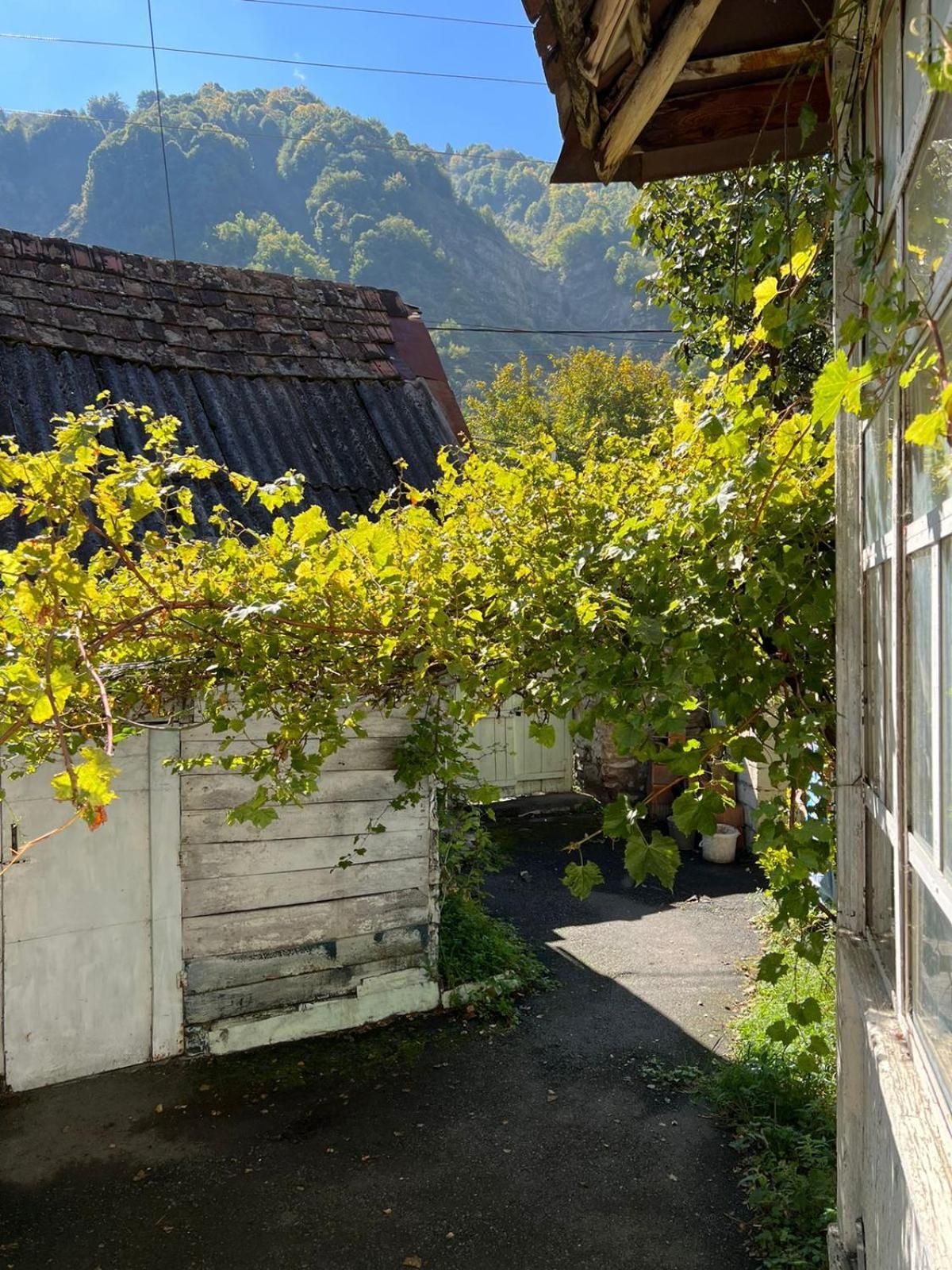 Guesthouse Ilisu Qakh Eksteriør bilde